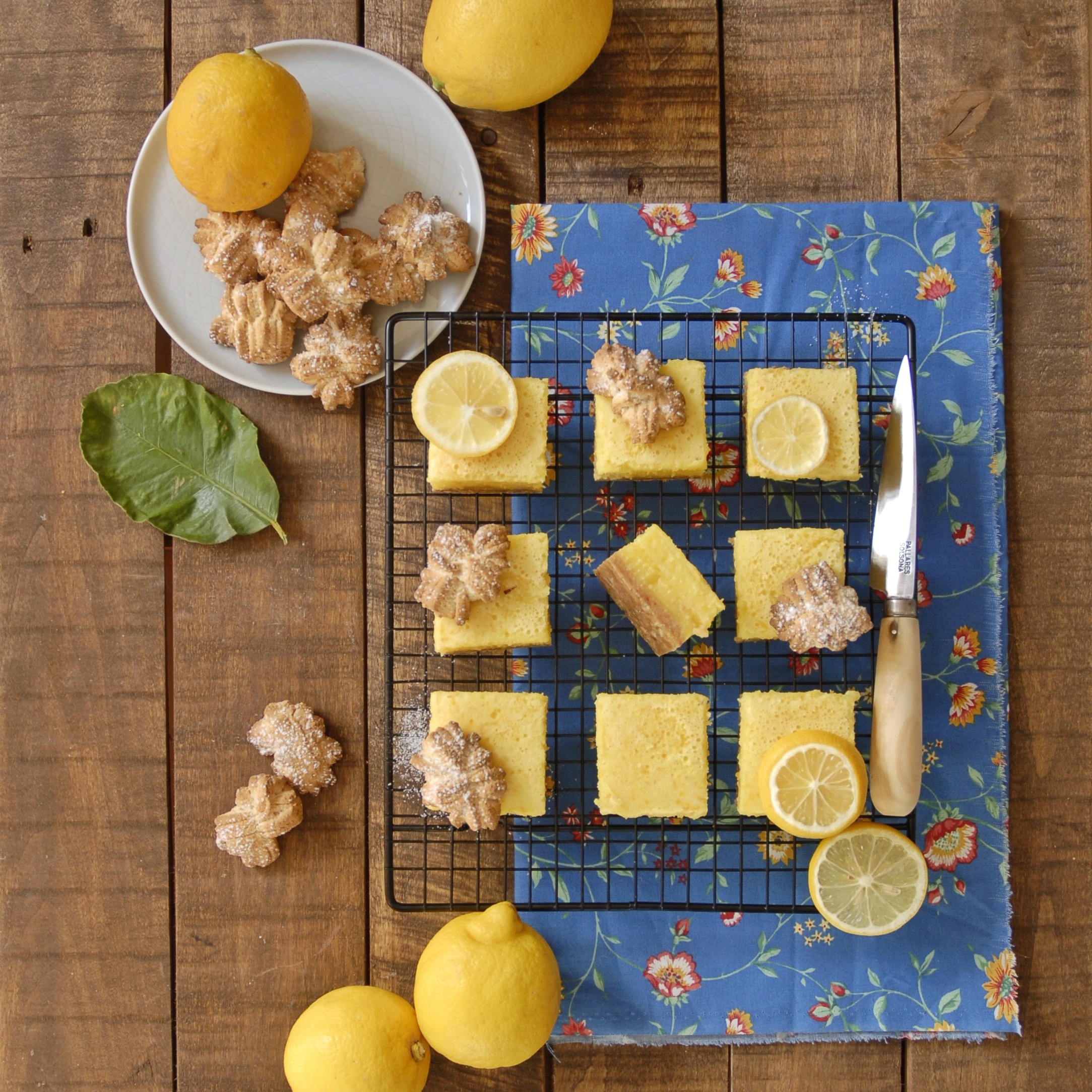 Lemon Bars con Margherite al profumo di agrumi